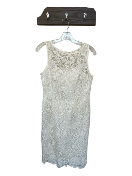 Adrianna Papell Size 4 White Polyester Lace Overlay Sleeveless Back Zip Dress White / 4