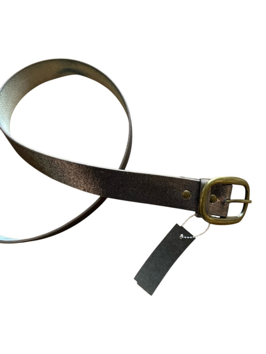 Bronze Leather Gold Buckle Metallic Shimmer Belts Bronze / M/L