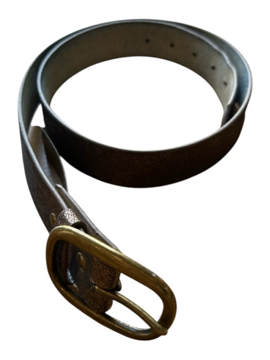 Bronze Leather Gold Buckle Metallic Shimmer Belts Bronze / M/L
