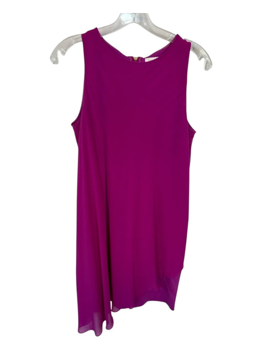 Ted Baker Size 4/XL Purple Polyester Sleeveless Back Zip Dress Purple / 4/XL