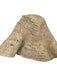 San Diego Hat Co. Beige Woven Straw Bucket Hat Beige / One Size