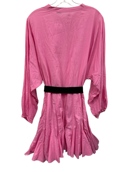 Rhode Size L Pink Cotton ruffles Button Front Long Balloon Sleeve Tie Belt Dress Pink / L