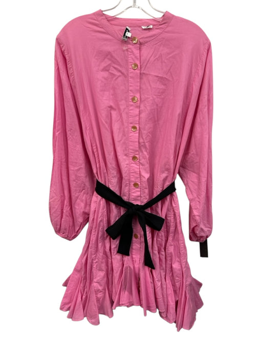 Rhode Size L Pink Cotton ruffles Button Front Long Balloon Sleeve Tie Belt Dress Pink / L