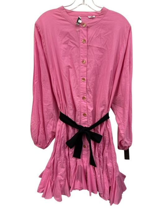 Rhode Size L Pink Cotton ruffles Button Front Long Balloon Sleeve Tie Belt Dress Pink / L