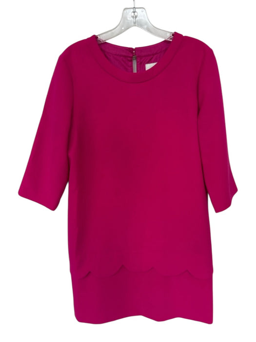 Kate Spade Size 8 Magenta Polyester Keyhole Half Sleeve Scallop Detail Dress Magenta / 8