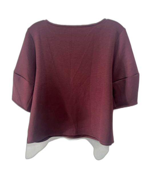 Spanx Size L Brown Modal Blend Cropped Round Neck short sleeve Top Brown / L