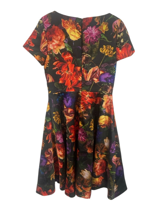 Theia Size 8 Black, Red, Multi Polyester Cap Sleeve Floral V Neck Midi Dress Black, Red, Multi / 8