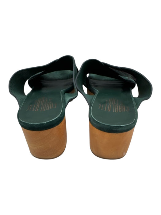Charlotte Stone Shoe Size 8 Green & Beige Leather & Wood Suede Open Toe Sandals Green & Beige / 8