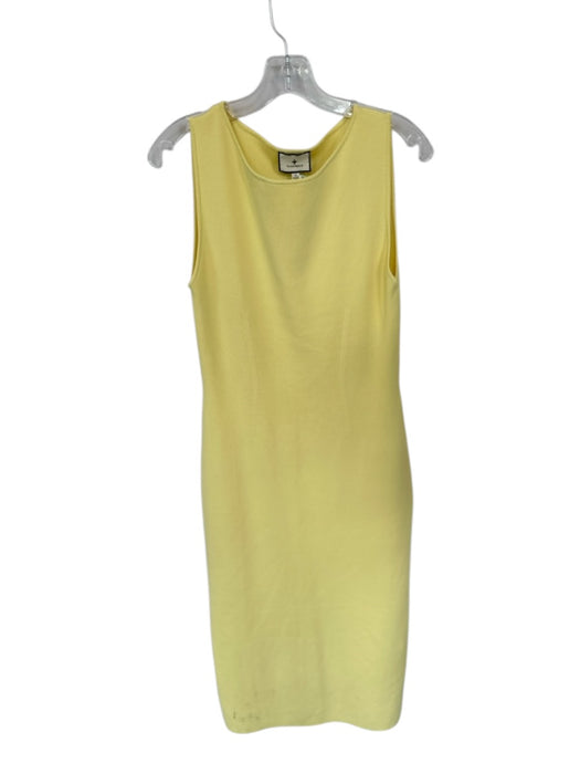 Tuckernuck Size S Butter Yellow Viscose Blend Sleeveless Back Slit Maxi Dress Butter Yellow / S