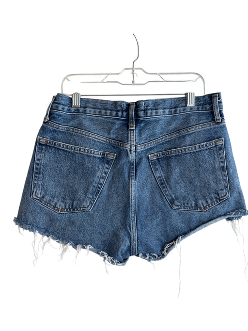 Agolde Size 26 Light Wash Organic Cotton Denim High Rise Button Fly Shorts Light Wash / 26