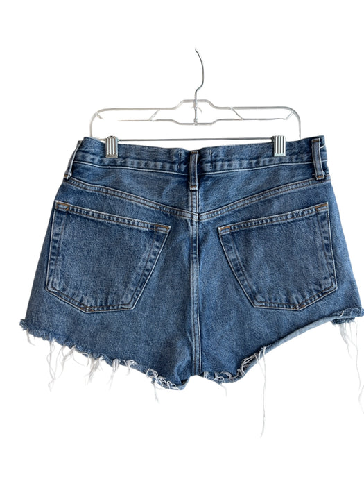 Agolde Size 26 Light Wash Organic Cotton Denim High Rise Button Fly Shorts Light Wash / 26