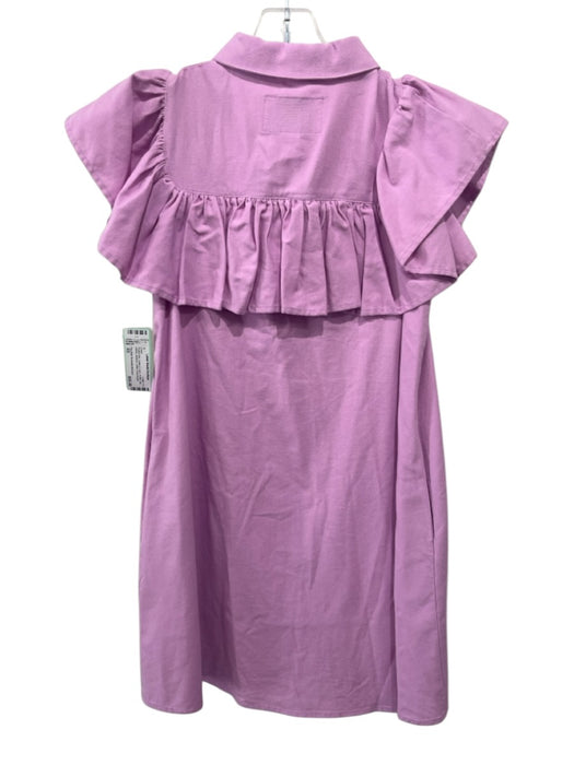The Shirt Rochelle Behrens Size XS Purple Pink Cotton & Linen Buttons Dress Purple Pink / XS