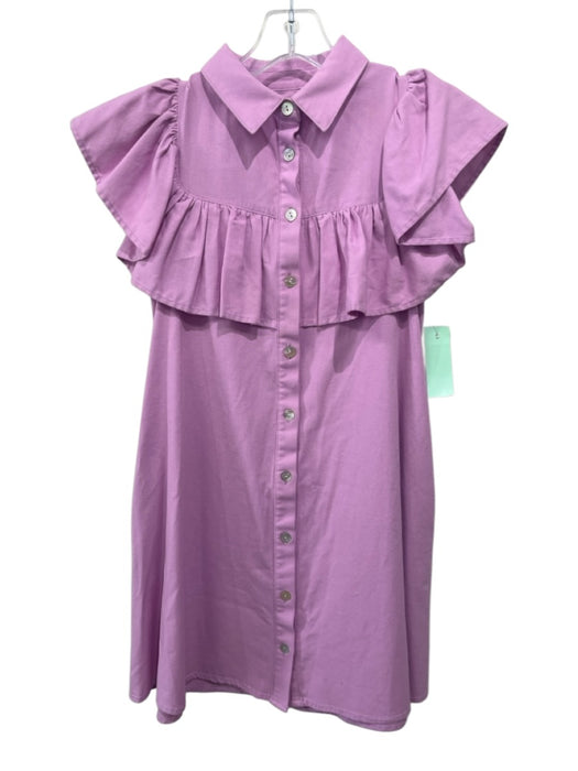 The Shirt Rochelle Behrens Size XS Purple Pink Cotton & Linen Buttons Dress Purple Pink / XS