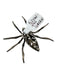 Figural Jezlaine Silver Silver Tone Metal Spider Etched Pattern Brooch Silver
