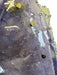 Paco Rabanne Size 40 Purple & Clear PVC & Viscose Flower Applique Mini Skirt Purple & Clear / 40