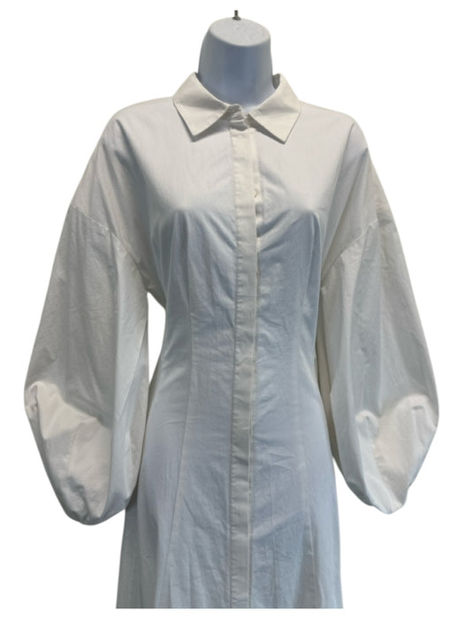 Carolina Herrera Size 8 White Cotton Long Balloon Sleeve Paneled Collared Dress White / 8