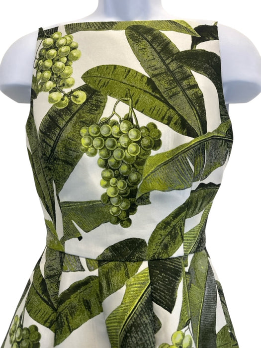 Oscar de la Renta Size 4 Green, Black, White Polyester Sleeveless Grapes Dress Green, Black, White / 4
