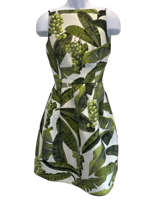 Oscar de la Renta Size 4 Green, Black, White Polyester Sleeveless Grapes Dress Green, Black, White / 4