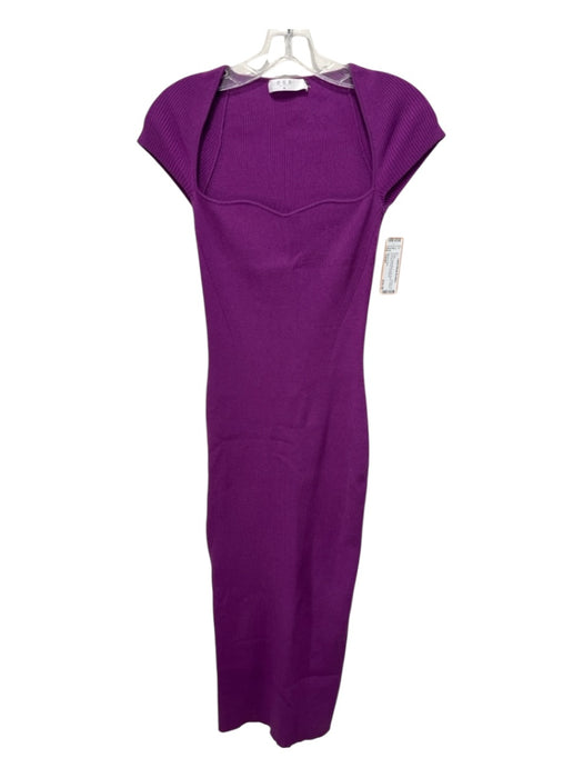 One Grey Day Size Small Purple Nylon Blend Cap Sleeve Ribbed Knit Dress Purple / Small