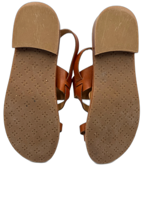 Patricia Nash Shoe Size 9 Brown Leather Toe Strap Bronze Hardware Sandals Brown / 9
