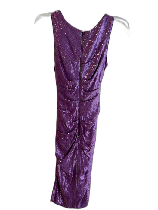 Nicole Miller Size 4 Purple Rayon Blend Round Neck Sequin Sleeveless Dress Purple / 4