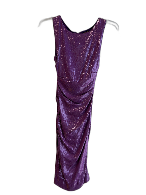 Nicole Miller Size 4 Purple Rayon Blend Round Neck Sequin Sleeveless Dress Purple / 4
