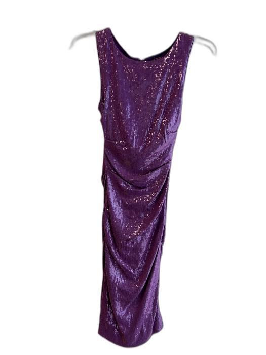 Nicole Miller Size 4 Purple Rayon Blend Round Neck Sequin Sleeveless Dress