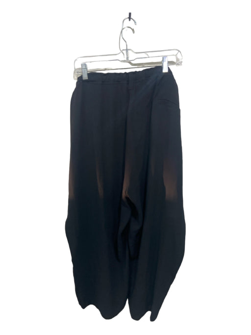 Eileen Fisher Size 3X Black Silk Drawstring Waist zip fly Straight Leg Pants Black / 3X