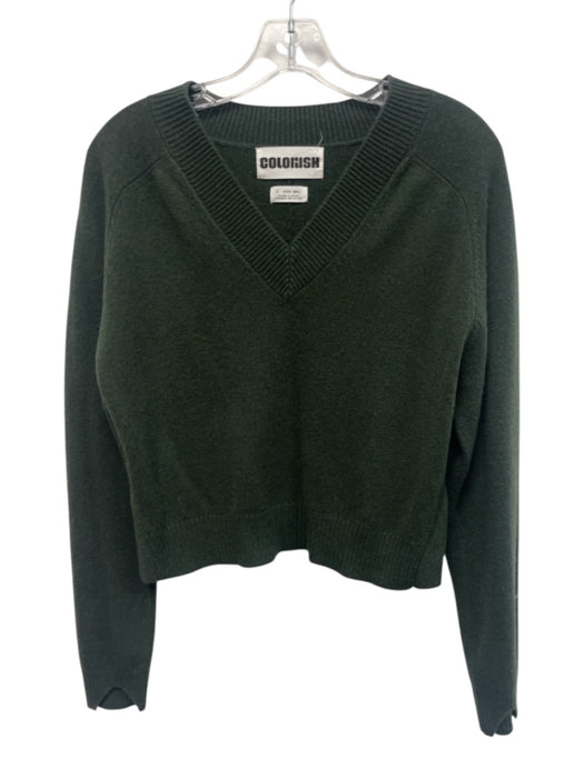 Colorush Size XS Green Cashmere Long Sleeve Side Slit V Neck Ribbed Sweater Green / XS