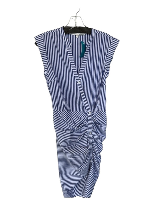 Veronica Beard Size 8 Blue & White Cotton Sleeveless Striped Button Down Dress Blue & White / 8