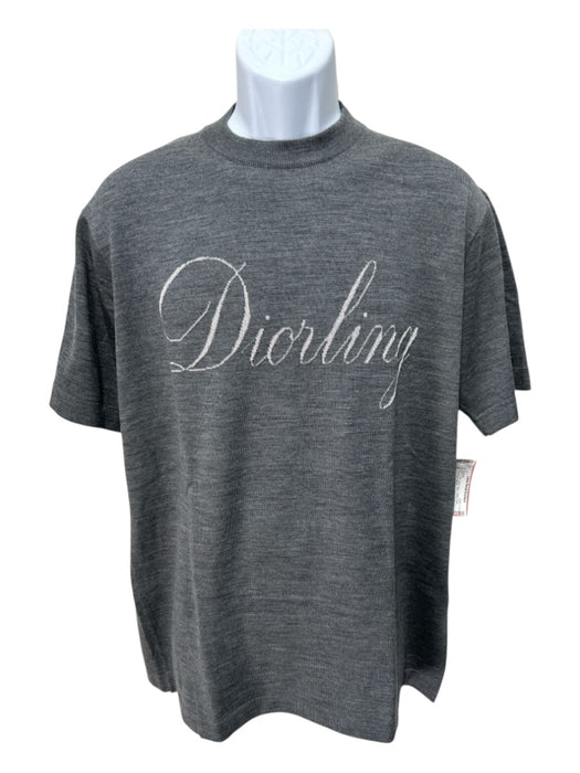 Dior NWT Size M Gray Wool logo T shirt Crew Men's Sweater Gray / M