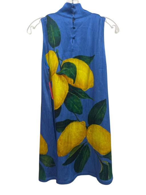 Emily McCarthy Size S Blue, Green & Yellow No Fabric Tag Sleeveless Lemons Dress Blue, Green & Yellow / S