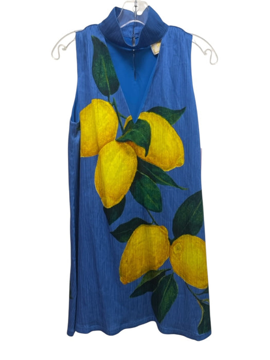 Emily McCarthy Size S Blue, Green & Yellow No Fabric Tag Sleeveless Lemons Dress Blue, Green & Yellow / S