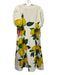 Emily McCarthy Size S Blue, Green & Yellow No Fabric Tag Lemons V Neck Dress Blue, Green & Yellow / S
