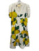 Emily McCarthy Size S Blue, Green & Yellow No Fabric Tag Lemons V Neck Dress Blue, Green & Yellow / S