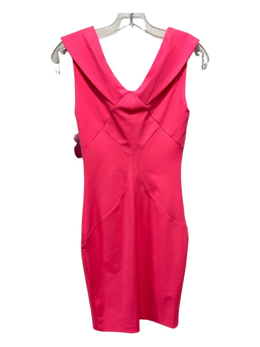 Ted Baker Size 1 Neon Pink Polyester Blend Sleeveless Gold Zipper Fitted Dress Neon Pink / 1