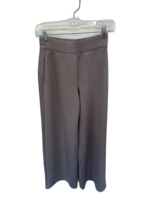Spanx Size XS Taupe & Silver Polyester Blend High Waist Metallic Thread Pants Taupe & Silver / XS