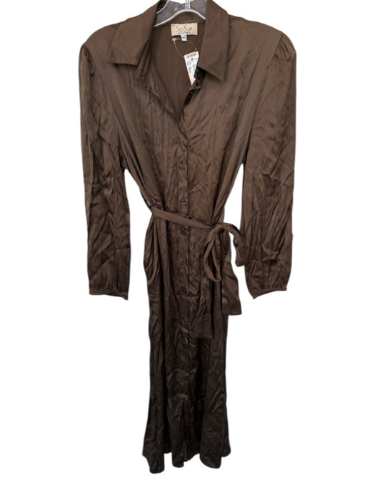 Sofia Size XS/S Brown Silk Long Sleeve Button Down Maxi Dress Brown / XS/S