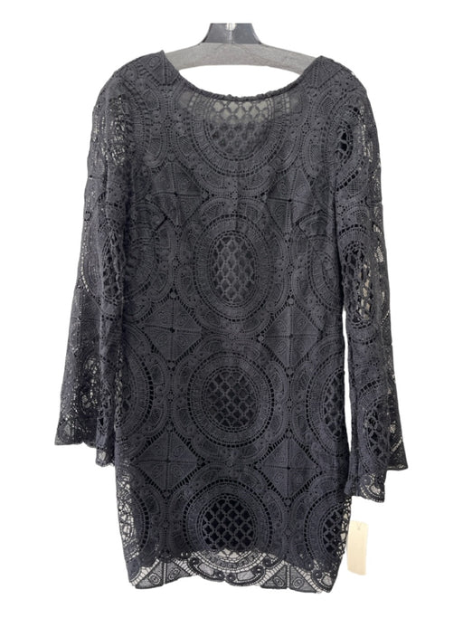 Alexia Admor Size M Black Polyester Lace Overlay Long Sleeve Low Back Dress Black / M