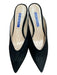 Stuart Weitzman Shoe Size 7 Black Suede Pointed Toe Open Back Mule Heel Shoes Black / 7