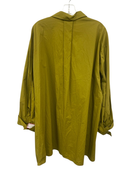 Forte Forte Size 2 Split Pea Green Cotton Blend Long Sleeve lace up Collar Dress Split Pea Green / 2