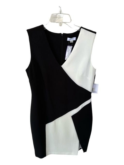 Calvin Klein Size 12 Black & White Polyester Blend Sleeveless color block Dress Black & White / 12