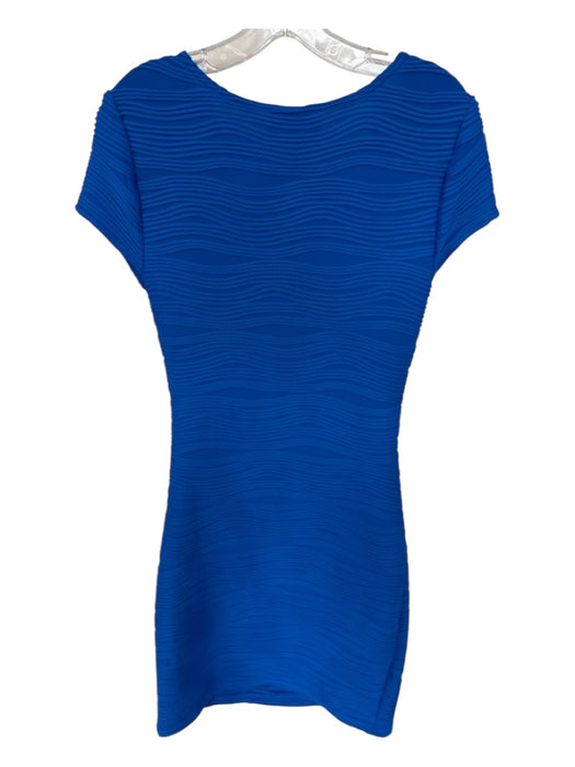 Joseph Ribhoff Size 10 Cobalt Blue Cap Sleeve Textured Dress Cobalt Blue / 10