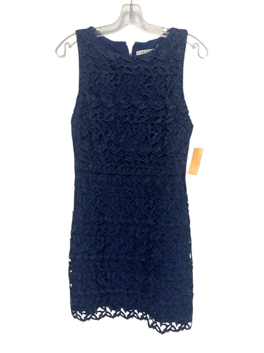 Alice + Olivia Size 10 Navy Blue Polyester Blend Floral Lace Overlay Dress Navy Blue / 10