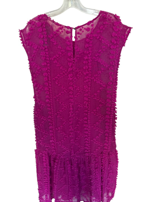 Maeve Size S Magenta Polyester Blend Lined Sheer Floral Cap Sleeve Dress Magenta / S