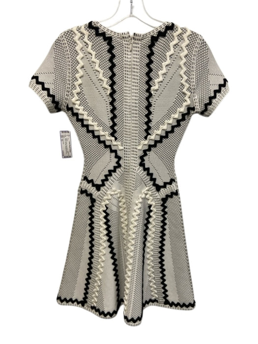 Herve Leger Size XS Black & White Rayon Blend Short Sleeve Zig Zag Knit Dress Black & White / XS