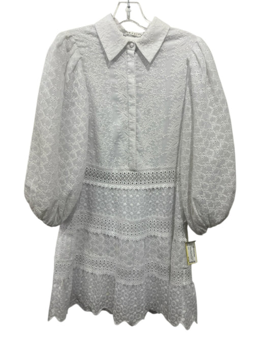 Alice + Olivia Size 4 White Polyester Paisley Eyelet 3/4 Balloon Sleeve Dress White / 4