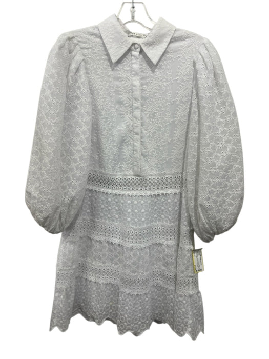 Alice + Olivia Size 4 White Polyester Paisley Eyelet 3/4 Balloon Sleeve Dress White / 4