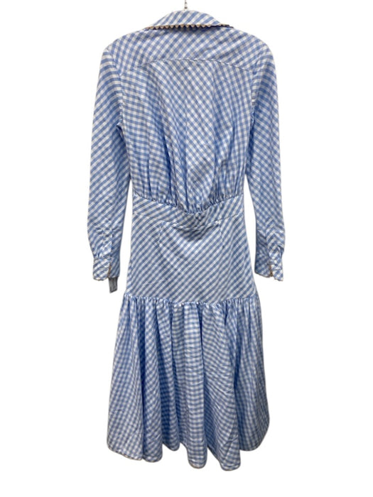 Tish Cox Size XXS Blue & White No Fabric Tag Gingham Long Sleeve Dress Blue & White / XXS