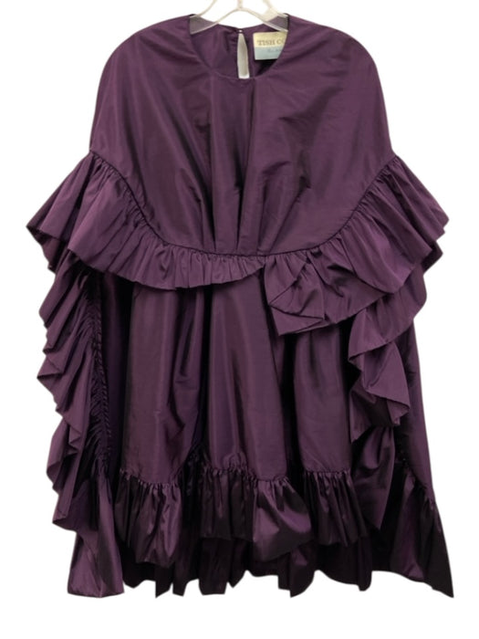 Tish Cox Size XXS Eggplant Purple No Fabric Tag Satin Ruffle Cape Dress Eggplant Purple / XXS